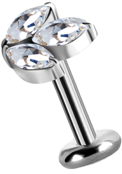 Salon piercing Bucuresti Cercei ureche.